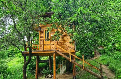 Valea Mare-Pravat Otro | Apple Tree Cabin (Friendship Land)
