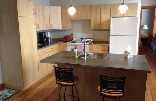 Zumbrota Apartamento | Apt # 3 - Hermosa suite de un dormitorio en el centro de Zumbrota Mn.