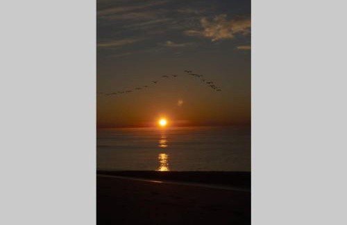 Holden Beach Casa | Aqua Haven - Second Street from Beach Home