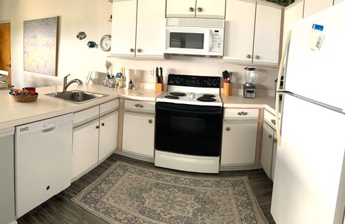 Cedar Key Condominio | Aqua Vista - Gulf Front Condo with Birds Eye Views