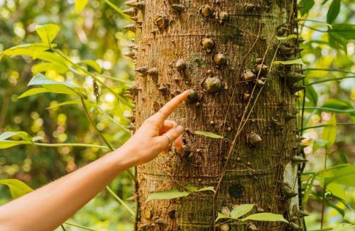 Beni Hotel | Aquicuana Ecolodge