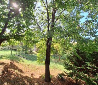 Kaposvar Apartamento | Aréna Apartman
