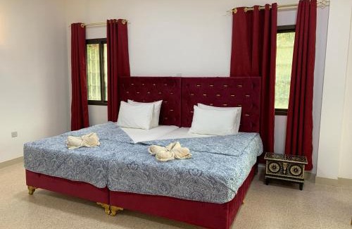 Qurm Casa | Arabian Nights Nook