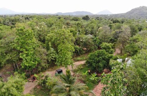 Dambulla Complejo | Araliya resort dambulla with free cooking class