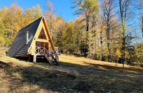 Curacautin Casa | Araucaria Lodge