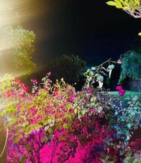 Khattalwada Casa | Aravali hill view farm