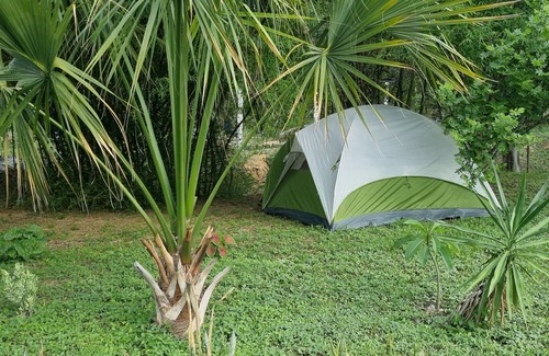 Huautlco Otro | Arboreto Camping