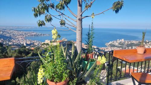 Ghazir Apartamento | Arcadia Guesthouses - Ghazir, Lebanon