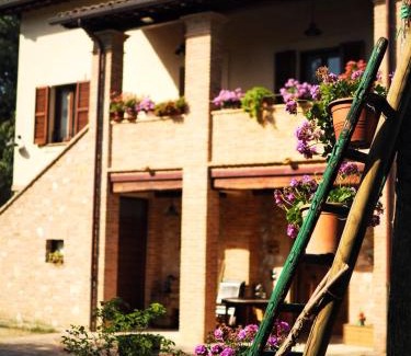 Spello Casa | Arcadia