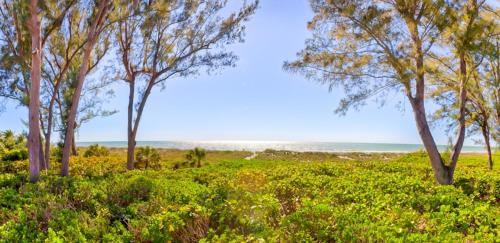 Wulfert Casa | Arcadia-Stunning Gulf Front Beauty! home