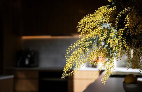 Red Hill Casa | Architectural gem in central Red Hill
