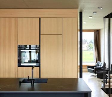 Altach Casa | Architektenhaus RHaa mit Terrassen