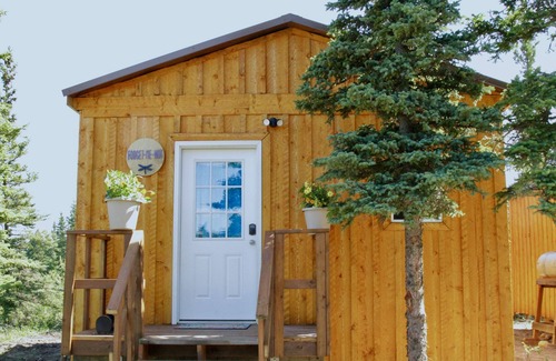 Healy Cabina | Arctic Dragonfly Inn
