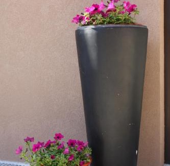 Arvore Casa | Areia Beach Guest House