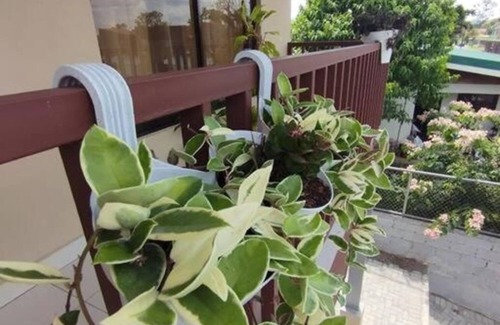 Barrio Pilo Apartamento | Arenal Cozy Apartment