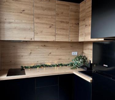 Soko Banja Apartamento | Aria Apartman Sokobanja