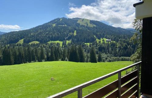 Balderschwang Apartamento | Ariana