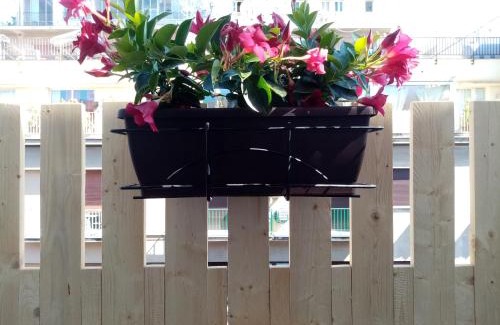 Ruggero Settimo Hotel | Ariston Petit Hotel