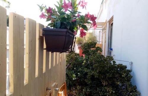 Ruggero Settimo Hotel | Ariston Petit Hotel