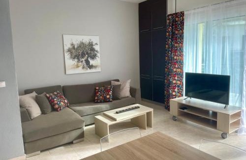 Neos Marmaras Apartamento | Aristos hillside apartment