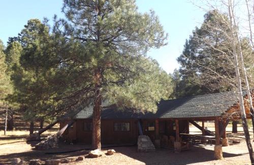 Flagstaff Hotel | Arizona Mountain Inn & Cabins