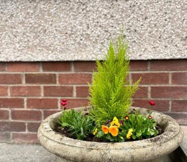 Enniskillen Casa | Arlo Townhouse Enniskillen