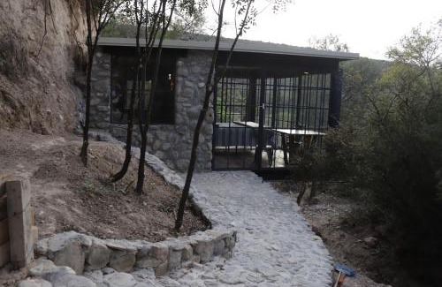 Armadillo de los Infante Hotel | Armadillo Mágico