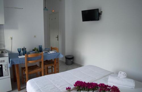 Sampatiki Apartamento | Armenaki Apartments