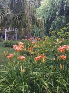 Partido de Tigre Cama Y Desayuno | Armonía y Naturaleza B&B Hostería Exclusiva