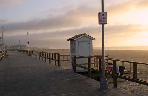 Point Pleasant Beach Casa | ARN25L - 1st Floor 2BR 1 bath within a block to it all - Pets OK, 4 Tags by Shore Points Vacations