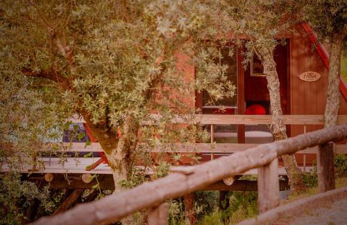 Castelo de Paiva Cama Y Desayuno | Arrabia Guest Houses Glamping
