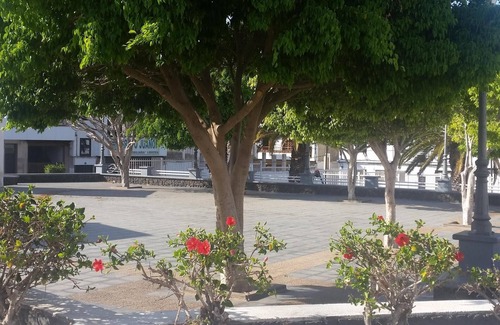 Arrecife Apartamento | Piso Arrecife Centro A