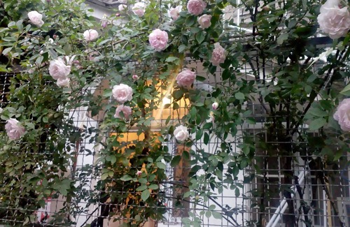mtatsminda Apartamento | Art House Petunia: ¡tu puerta de entrada a la antigua Tbilisi!