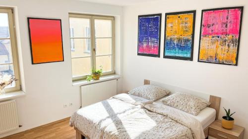 Ceske Budejovice Apartamento | ART room with rooftop prosecco picnic or breakfast