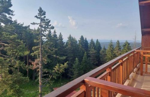 Samokov Apartamento | Art Studio Borovets Semiramida