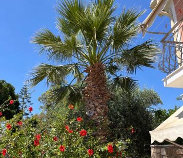 Vasilikos Apartamento | Artemis Vassilikos
