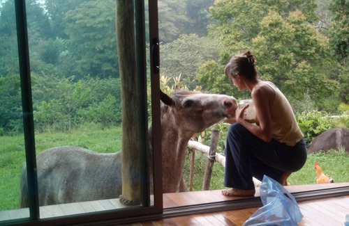 Tajo Alto Otro | Artistic House ; Peaceful place in the Mountains. Close to Miramar, Puntarenas