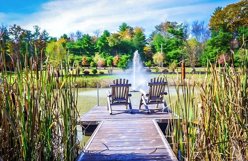 Glen Spey Casa | Artistic Escape: Nature, Silence & Soul, 6-acre hideaway, Privately Yours