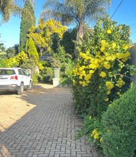 Greater Johannesburg Metropolitan Area Apartamento | Artzys Studio