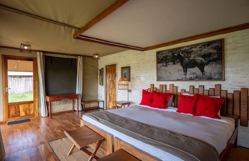 Serengeti National Park Otro | Arukore Simba Camp-Serengeti