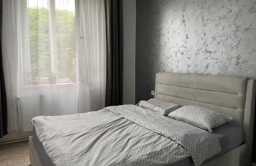 Ocna Mures Apartamento | Ary apartments