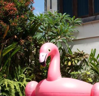 Beraban Casa | Aryma Guest House near Nuanu City, Kedungu Beach and Tanah Lot