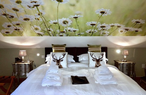 Dungannon Cama Y Desayuno | Ashbrook House B&B