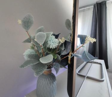 Wolverhampton Apartamento | Ashers place