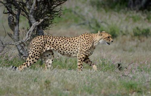Hazyview Casa | Ashridge Guesthouse & Safaris