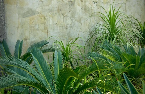 Padonan Villa | Askara Villa