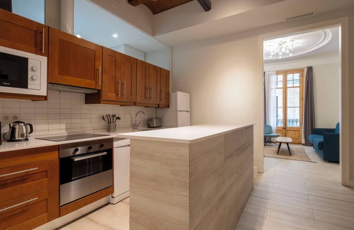la Vila de Gracia Apartamento | Aspasios Gracia Apartments