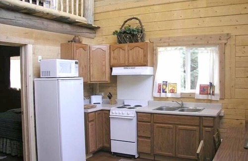 Lake City Casa | Aspen Lodge Blue Spruce Vacation Rental