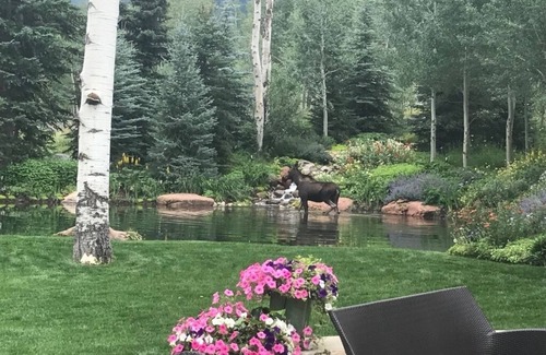 Aspen Casa | Aspen Oasis on the River