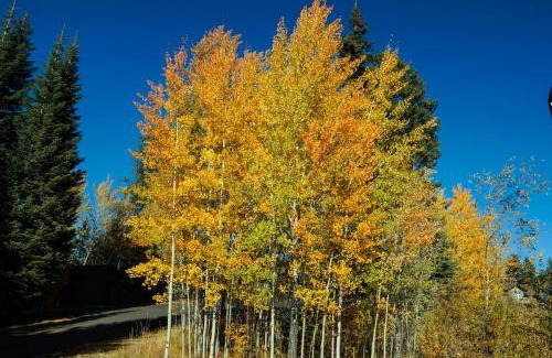 McCall Apartamento | Aspen Village Golf Course Condo - Snowshoes